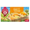 Teekanne herbata owocowa ginger orange imbir pomarańcza 20 t.