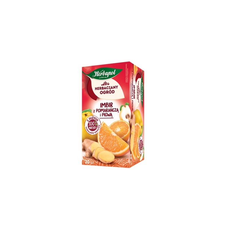 Herbapol herbata zimowa owocowa imbir z pomarańczą i pigwą 20 t.